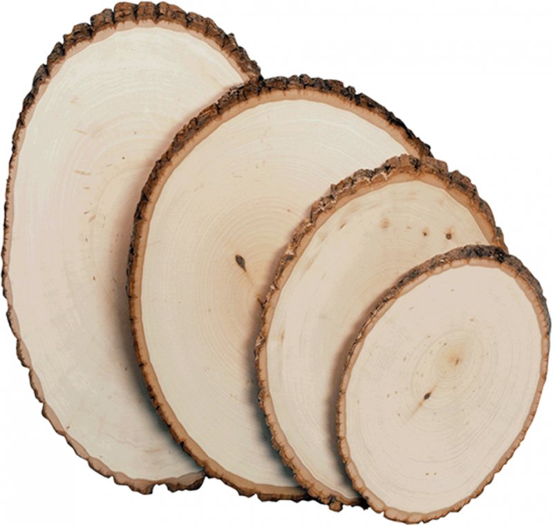 Walnut Hollow - Basswood Country Rounds for Wood Burning, Hot Stamping &  Carving - Medium